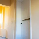 Steleni Apartamento